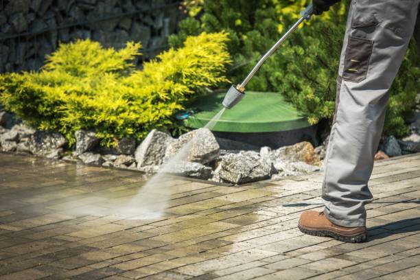 Best Driveway Pressure Washing  in Wildwood Crest, NJ